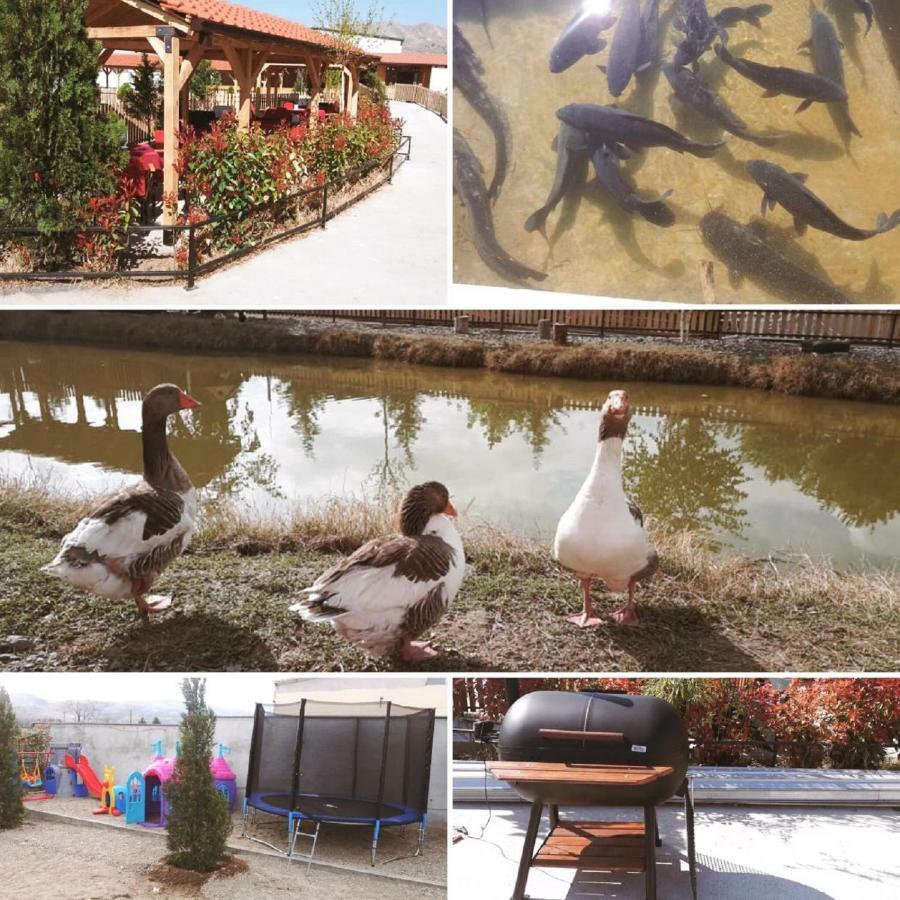 Hotel&Spamontenegro Rivijera Veles Esterno foto